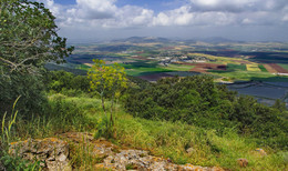 Frühling auf den Hängen des Mount Gilboa / ***