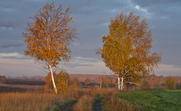 &quot;Von der goldenen Herbst&quot; / ***