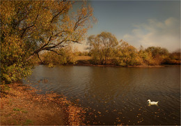Sound Herbstlaub / ***