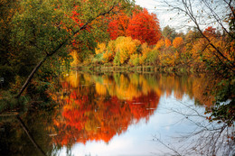 Autumn Gatchina / ***