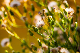 In desyatochku / ***