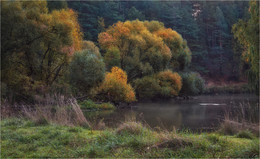 Fluss und Herbst / ***
