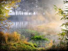 September Morgen goldenen Nebel ... / ***