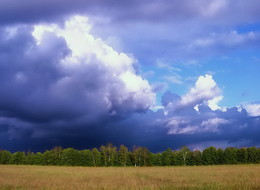 Vor dem Sturm / ***