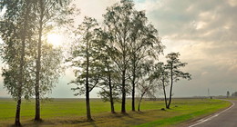 Nach dem Regen / ***