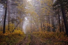 Herbstwanderungen. / ***