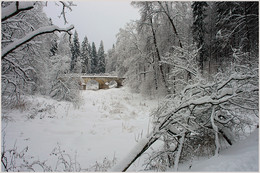 Serednikovo Winter / ***