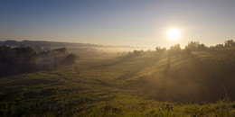 Morgendämmerung, Nebel / ***