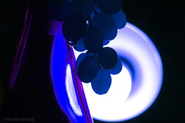 Blue Grapes / ...