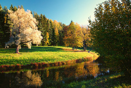 Herbst in Pawlowsk / ***