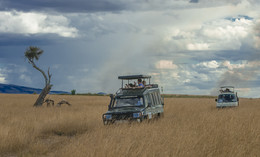 &quot;Auf der Suche nach den Bewohnern von Afrika / ***