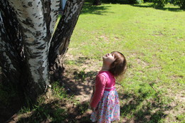 Was für ein großer Baum! / ***