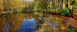 Herbstfarben Raserei ... / ***