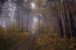 Nach Angaben der Forststraße. (2) / ***