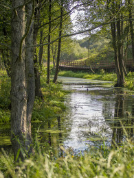 Fluss in Zaslavl / ***