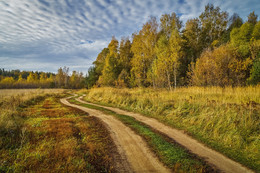 Herbstfarben / ***