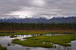 Auf dem Weg zum Denali / ***