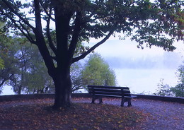 Nebliger Morgen / ***