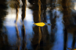 Malen nach Wasser / ***