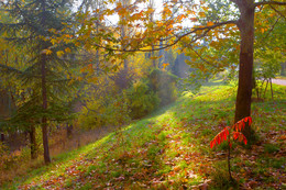 Zeichen des Herbstes. / ***