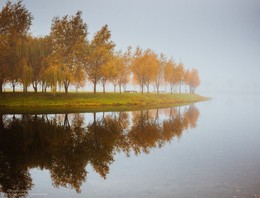 Nebligen Herbstmorgen / ***