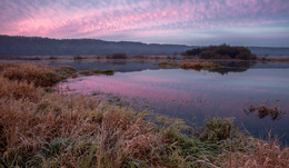 Herbstmorgen ... / ***