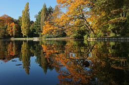 Herbst bewundert in den Spiegel / ***