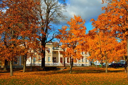 Herbst in Shchuchyn / ***