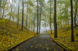 Herbst-Park / ***