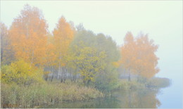 im Herbstnebel / ***