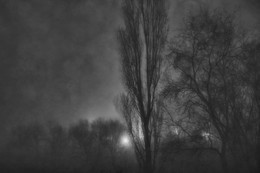 Märchen von der Nebel ... / http://prochtu.ru/text.php?avtor=1885&amp;kniga=10&amp;f=html&amp;p=view