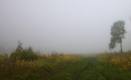 Straße im Nebel / ***