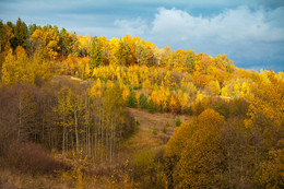 50 Schatten des Herbstes / ***