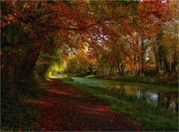 ... Herbst Wanderwege ... / ***