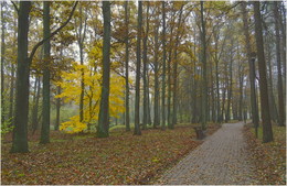 in der Herbst-Park / ***