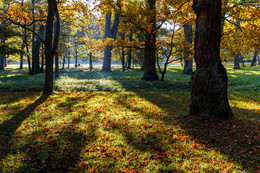 Sonnigen Herbsttag im Park. / ***