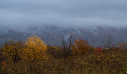 Herbstnebel .. / ...