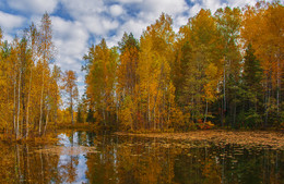 Autumn Lake / ***