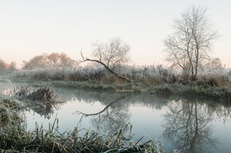 Cold morning by the river / https://vk.com/mikalai_nikitsin