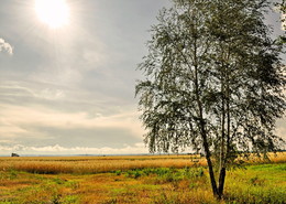 die vertraute Landschaft / ***