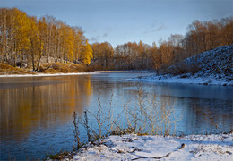 Vorläufer Winter / ***