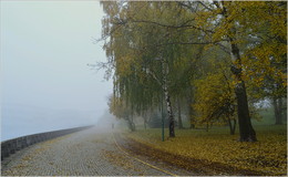 im Nebel / ***