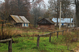 Polesskii Wildnis ... / ***