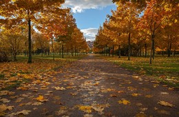 Herbst-Zeit (2) / ***