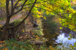 Fisherman und Herbst / ***