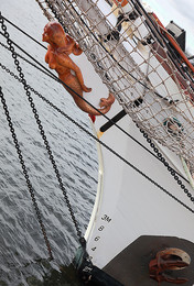 Galleon Abbildung) / ***