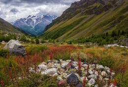 September in den Kaukasus / ***