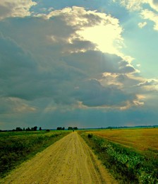 Straße in einem Feld / ***