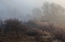 Hochnebel November ... / ...