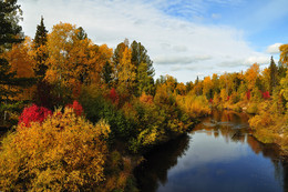 Herbst / ***